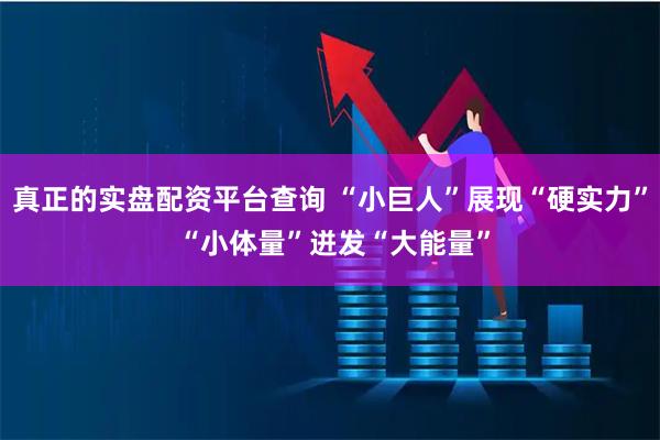 真正的实盘配资平台查询 “小巨人”展现“硬实力” “小体量”迸发“大能量”