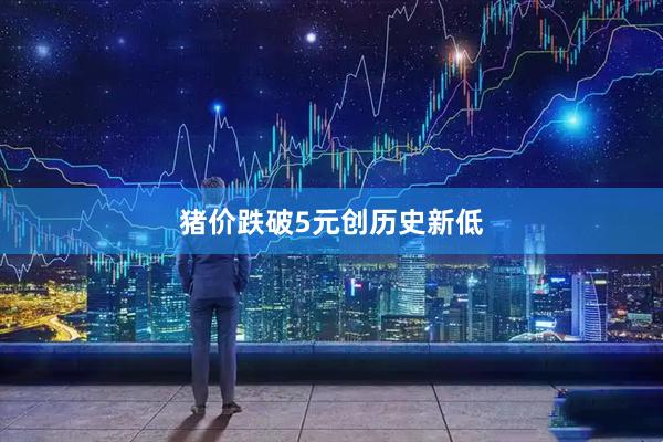 猪价跌破5元创历史新低