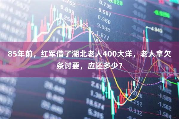 85年前，红军借了湖北老人400大洋，老人拿欠条讨要，应还多少？