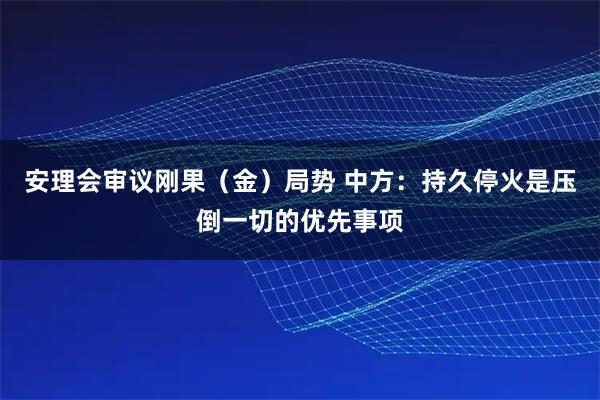 安理会审议刚果（金）局势 中方：持久停火是压倒一切的优先事项