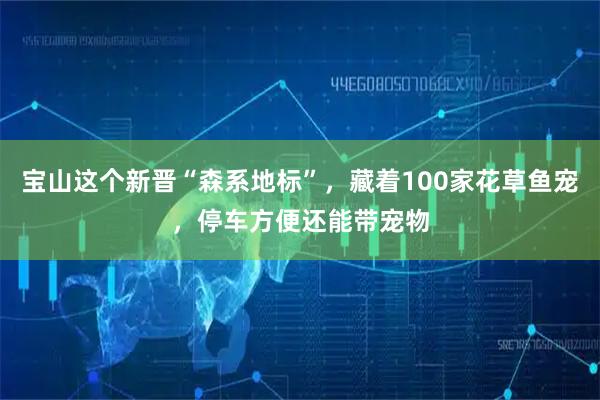 宝山这个新晋“森系地标”，藏着100家花草鱼宠，停车方便还能带宠物