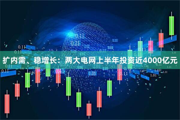 扩内需、稳增长：两大电网上半年投资近4000亿元